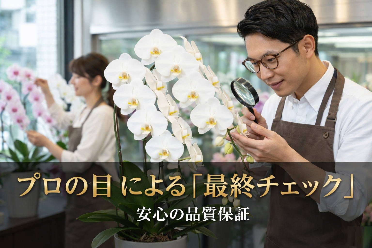 観葉植物を持つ笑顔の男性花屋