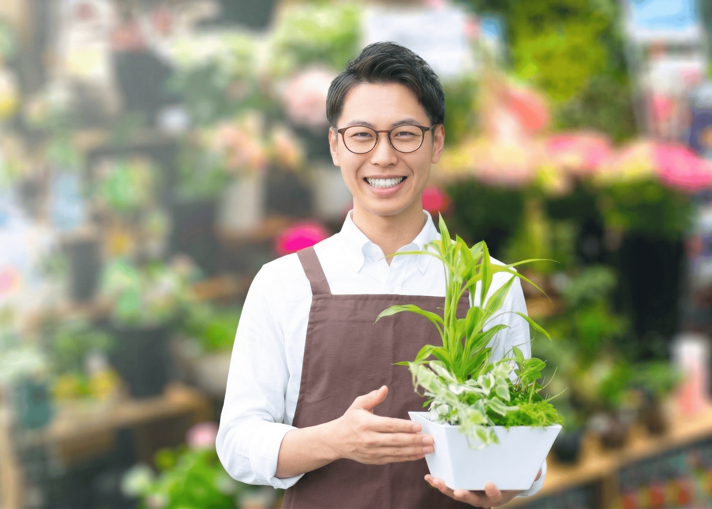 白い胡蝶蘭を最終チェックする男性スタッフ
