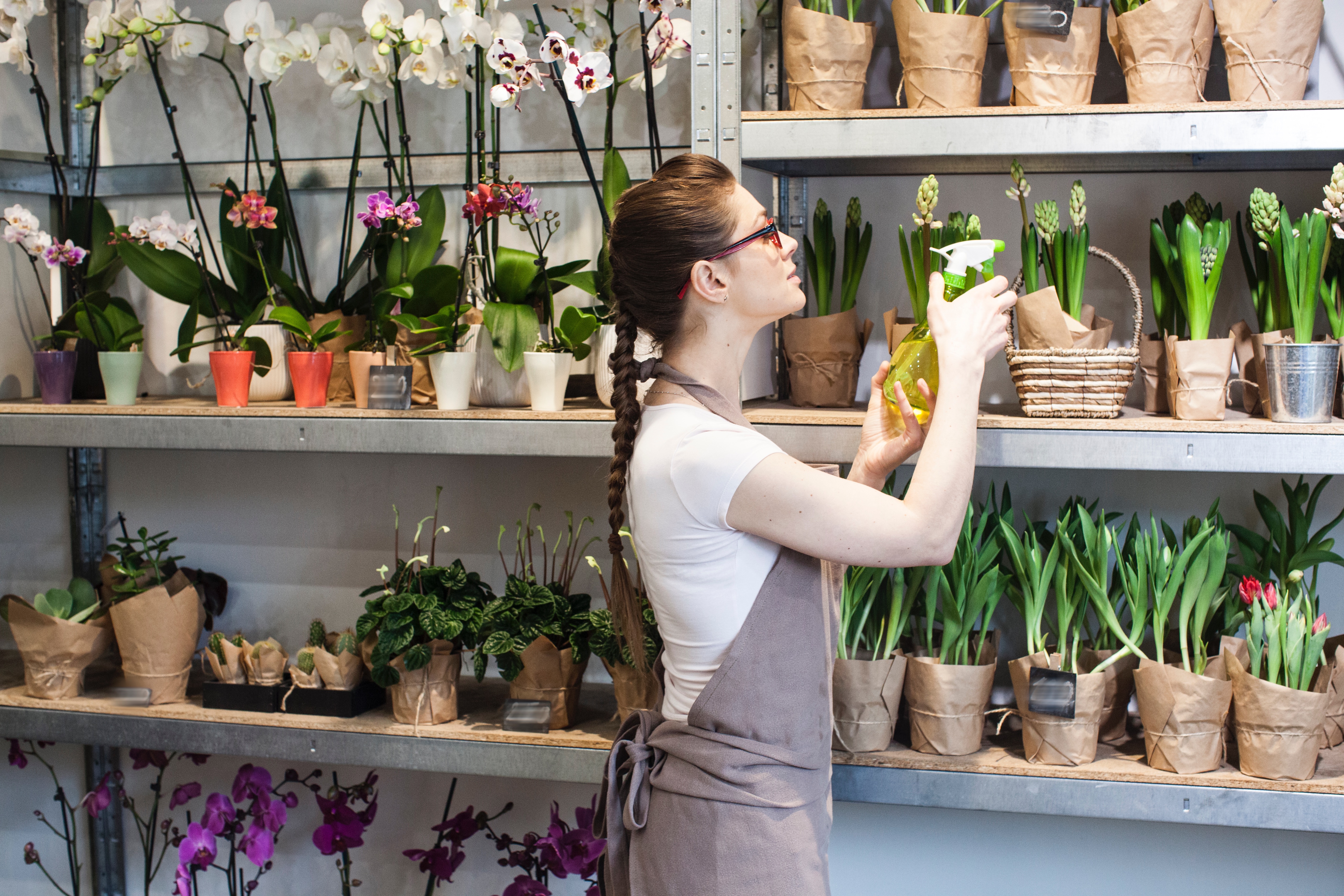 鉢植えに霧吹きをする花屋の女性