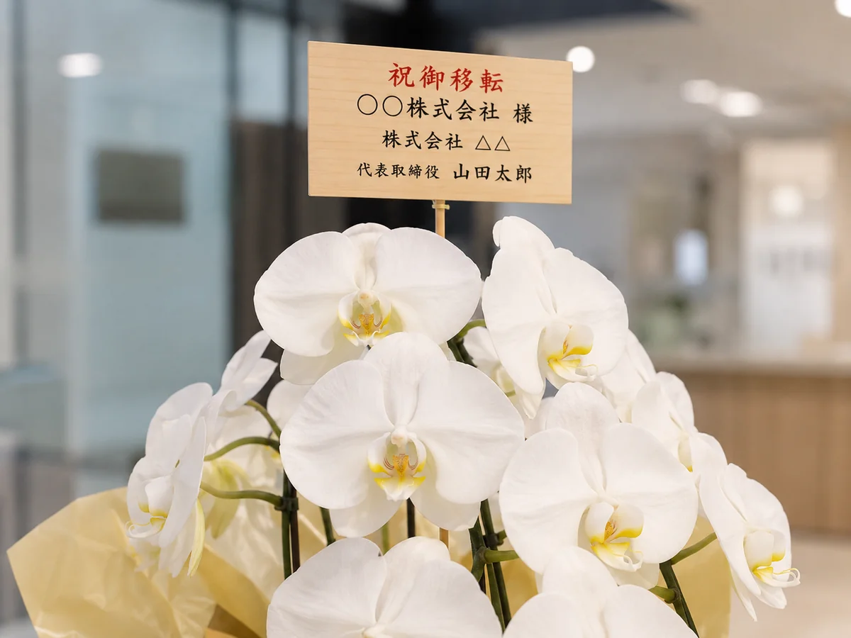 祝御移転の立札が見える移転祝い胡蝶蘭のアップ画像