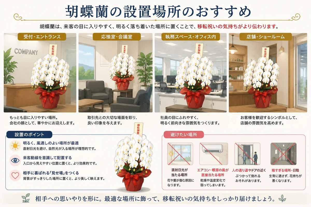 移転祝い胡蝶蘭の設置場所を受付や応接スペースで説明するイラスト