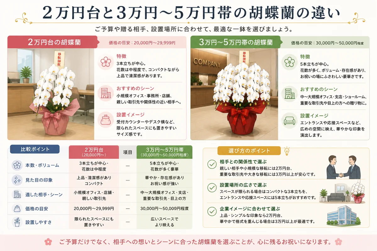 移転祝い胡蝶蘭の2万円台と3万円から5万円帯を比較した説明画像