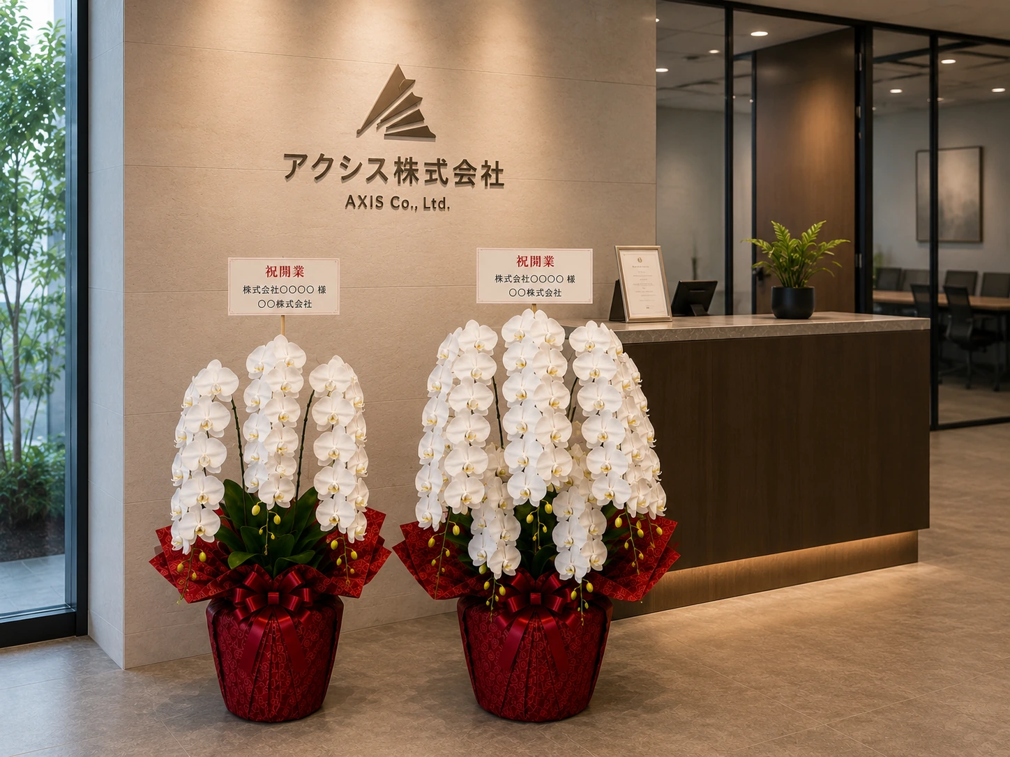 会社・事務所の受付に並ぶ白い3本立ちと5本立ち胡蝶蘭の比較
