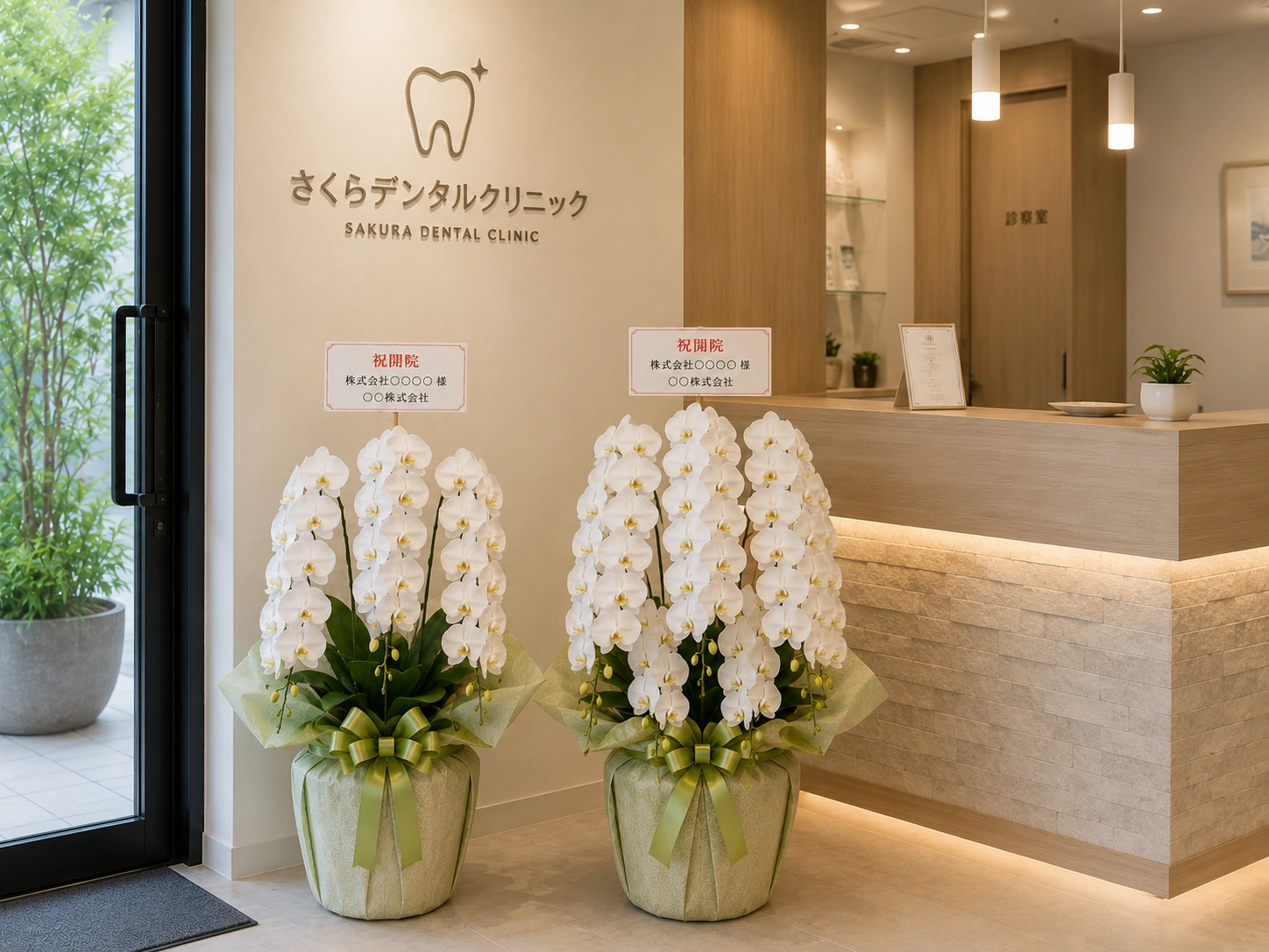 歯科クリニック受付に並ぶ緑系ラッピングの白い3本立ちと5本立ち胡蝶蘭の比較